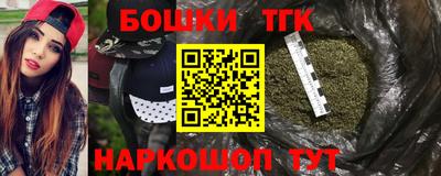 тгк Будённовск