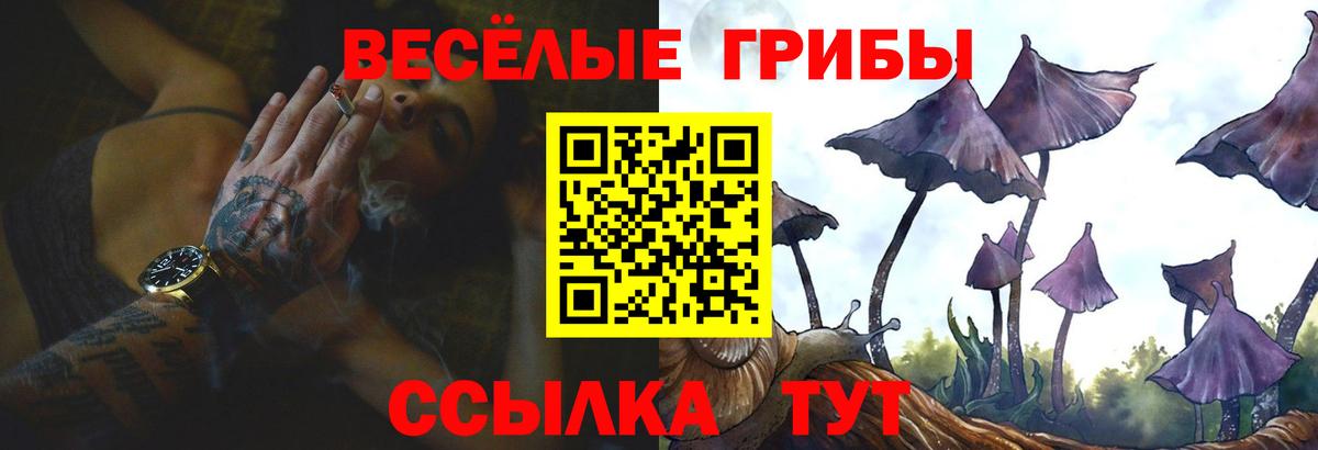 Псилоцибиновые грибы MAGIC MUSHROOMS Ростов-на-Дону